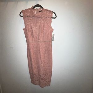 Bardot dress size 6 NWT